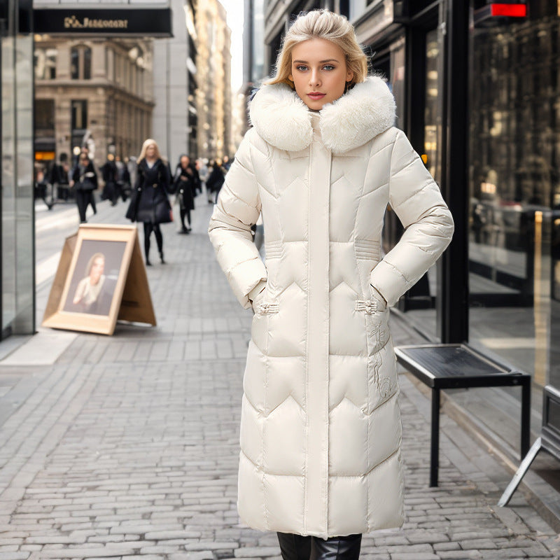Arctic Queen  PALTO