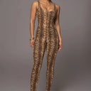 LEOPAR 2