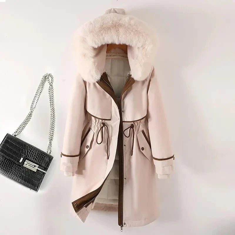 Chic Haze  PALTO