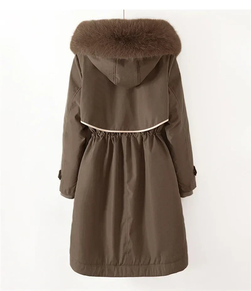 Chic Haze  PALTO