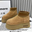  Camel Color